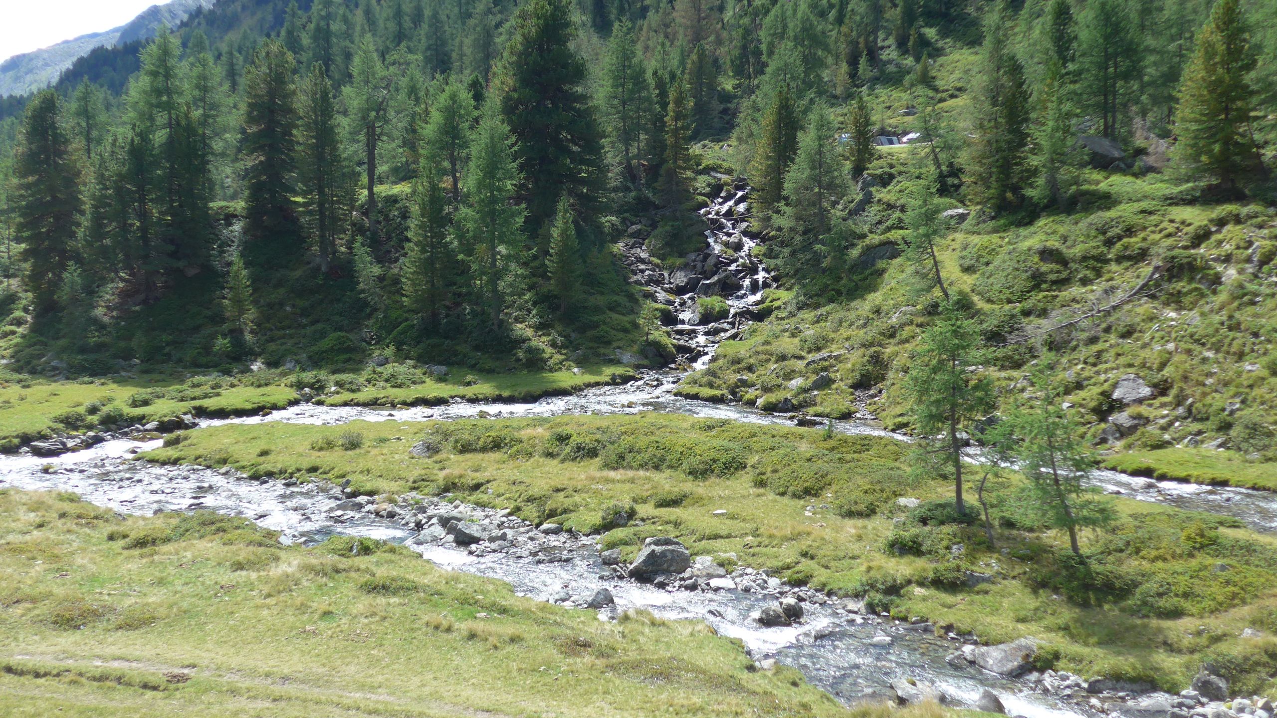 Bach unterhalb der Lienzer Hütte